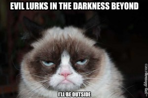 Grumpy Cat lurks in the Darkness
