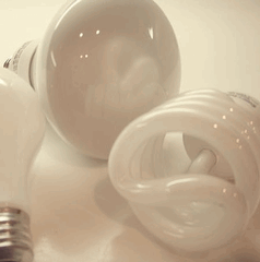 CFL bulbs